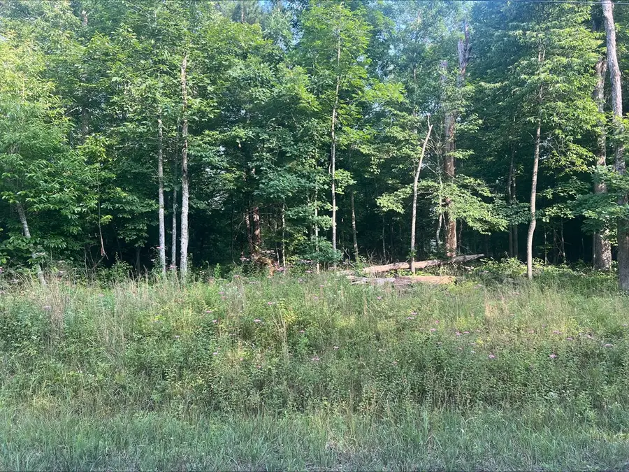 6152 Tomahawk Drive, Crossville, TN 38572 - #2