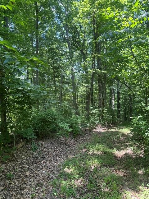 0 W Of Ward Fork Rd, WHITLEYVILLE, TN 38588