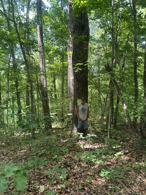 0 W Of Ward Fork Rd, Whitleyville, TN 38588 - #3