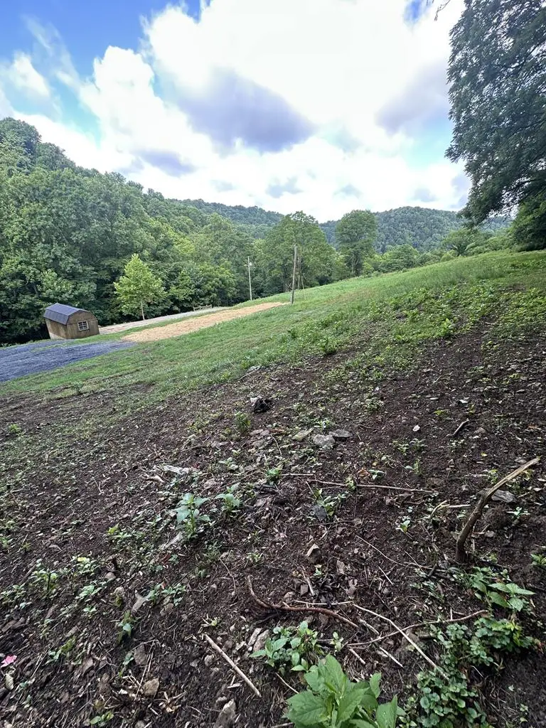 45 Friendship Hollow Rd N, Pleasant Shade, TN 37145 - #1