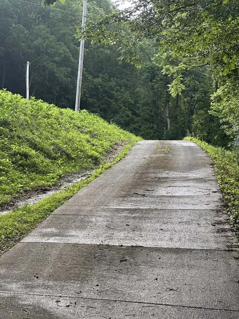 45 Friendship Hollow Rd N, Pleasant Shade, TN 37145 - #3