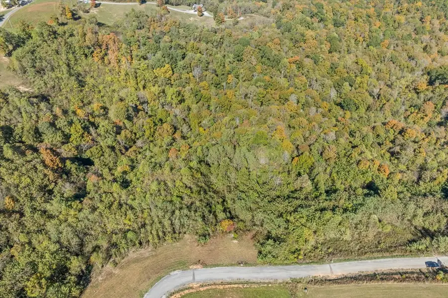 17C Rockfish Road, Hilham, TN 38568 - #3