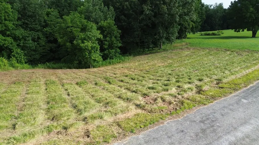 0 Summer Breeze Dr Lot 12, Smithville, TN 37166 - #3