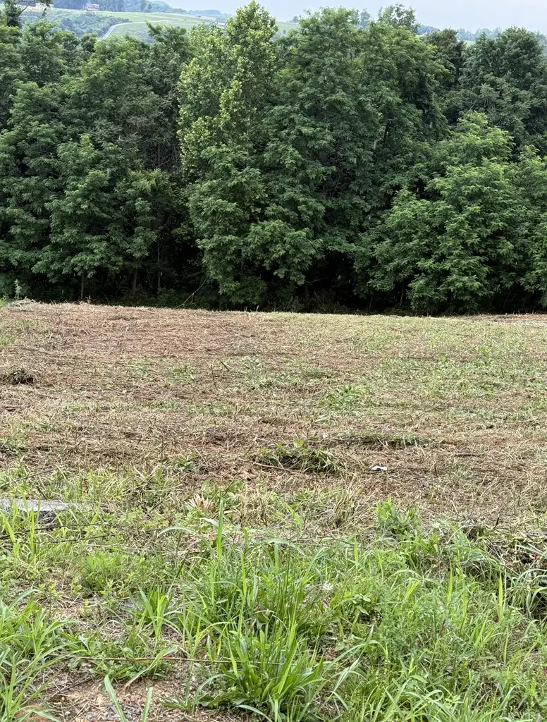 Lot 84C Mallard Rd, Hilham, TN 38568 - #2