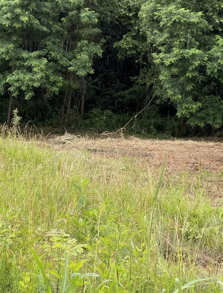 Lot 84C Mallard Rd, Hilham, TN 38568 - #3