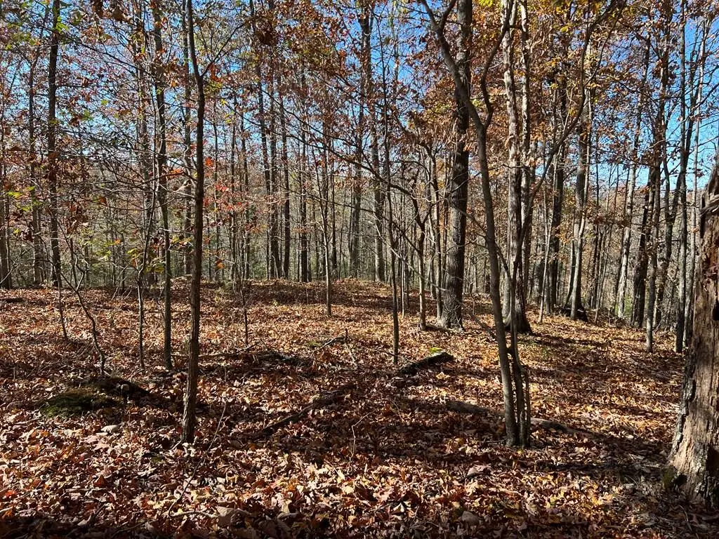 2.19 Ac Old Hwy 53, Celina, TN 38551 - #1
