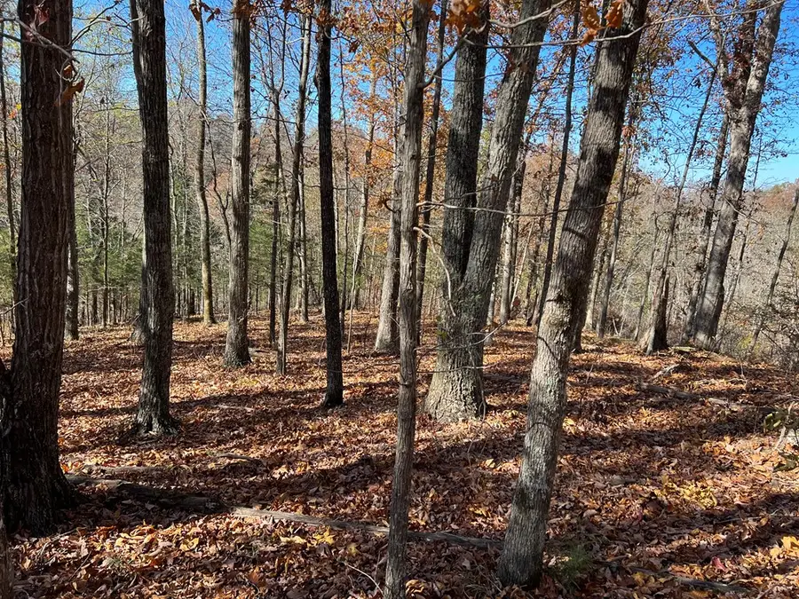 2.19 Ac Old Hwy 53, Celina, TN 38551 - #3