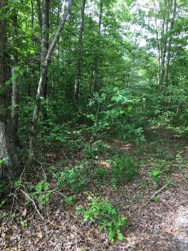 Lot 48 Buckeye Lane, WILDER, TN 38589
