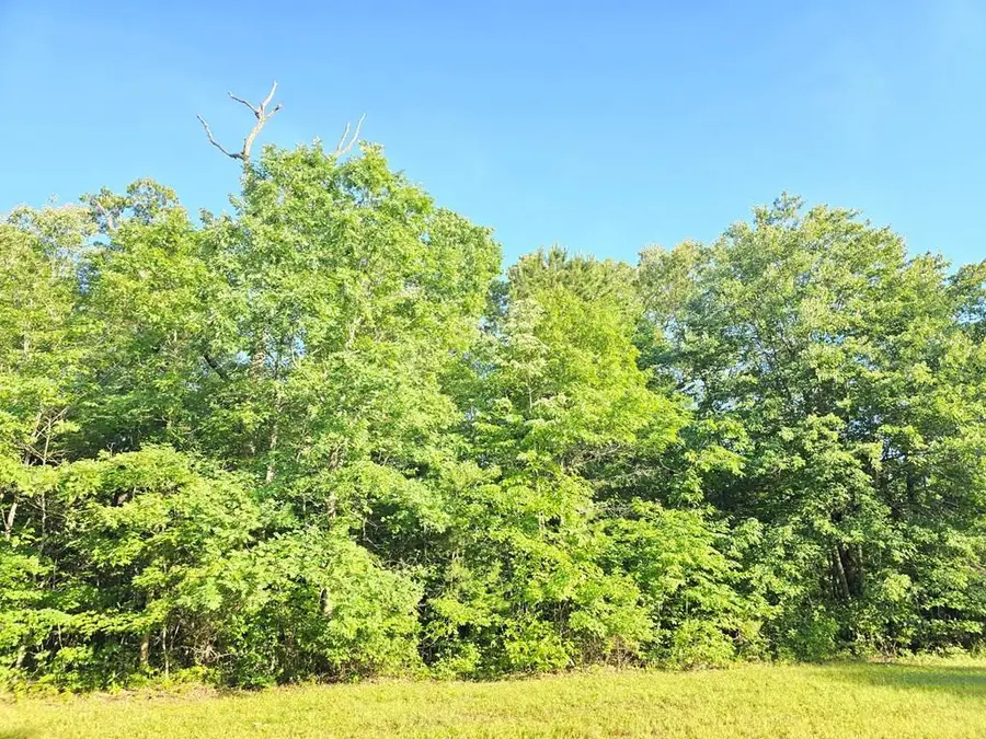 0 N Laurel Loop Lot 15, Monterey, TN 38574 - #2