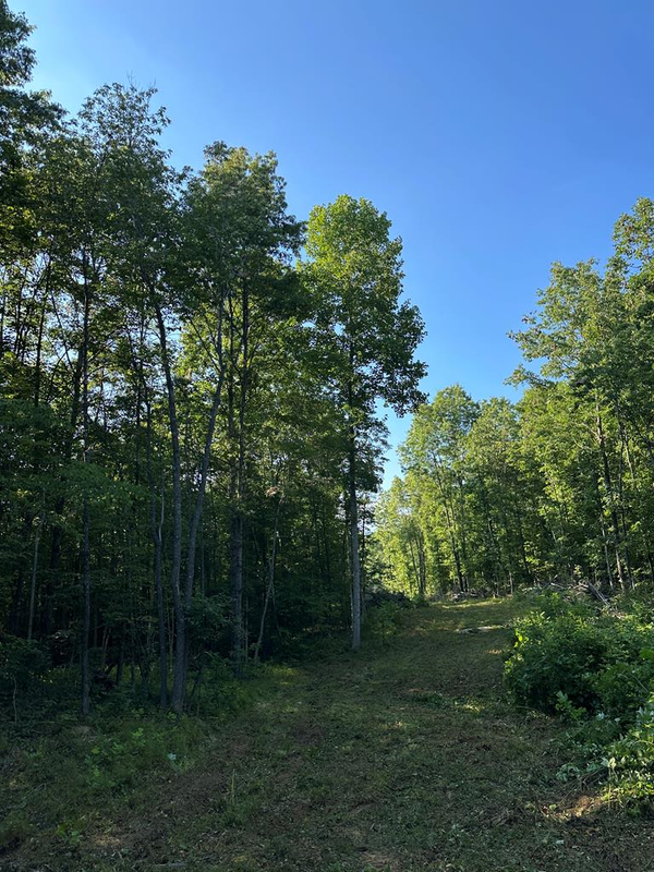 911 Parkstown Road, WILDER, TN 38589