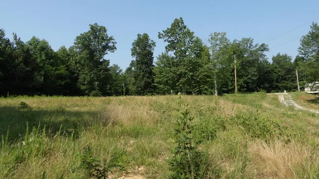 580 Pleasant Cemetery Lane, Gainesboro, TN 38562 - #1