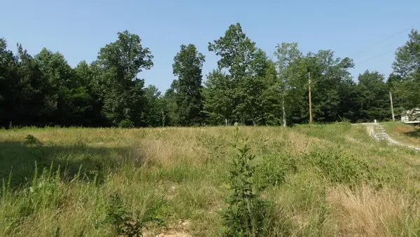 580 Pleasant Cemetery Lane, GAINESBORO, TN 38562