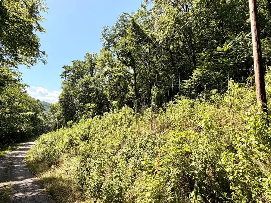 0 Silver Point Rd, Silver Point, TN 38582 - #2