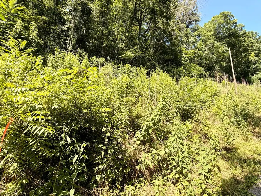0 Silver Point Rd, Silver Point, TN 38582 - #3