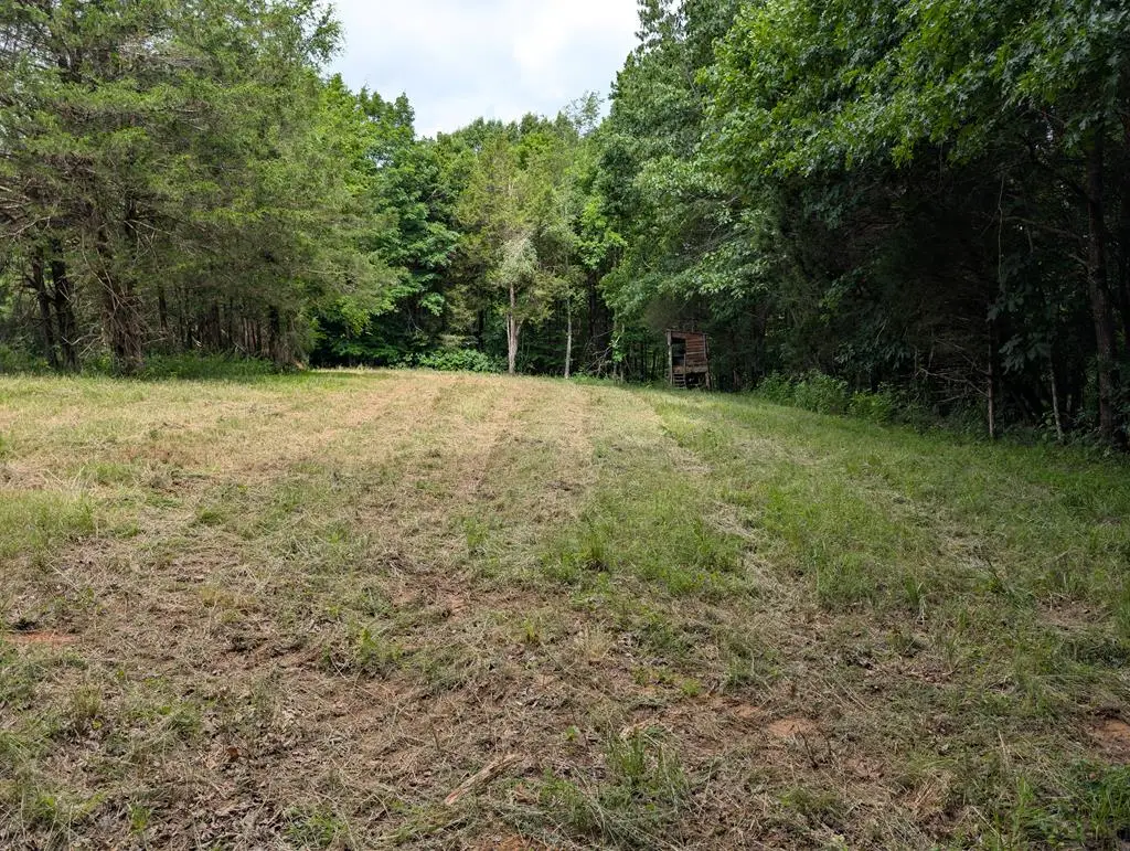 25AC Gains Hill Rd, Burkesville, KY 42717 - #1