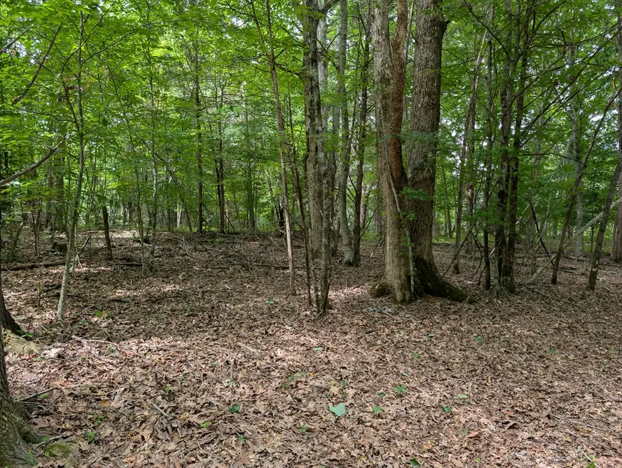 25AC Gains Hill Rd, Burkesville, KY 42717 - #3