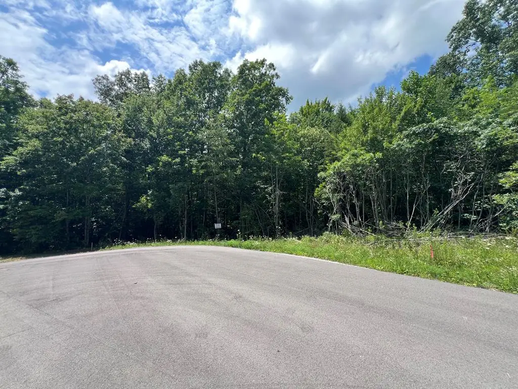 Lot 200 Elzies Way, Grimsley, TN 38565 - #1