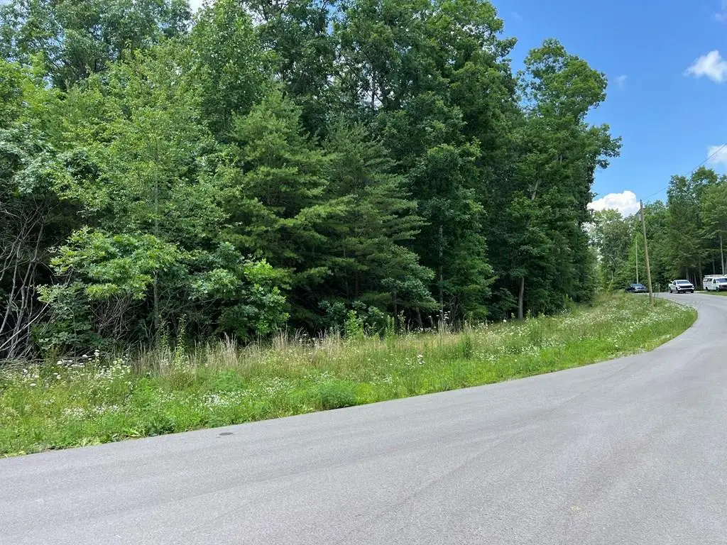 Lot 201 Elzies Way, Grimsley, TN 38565 - #1