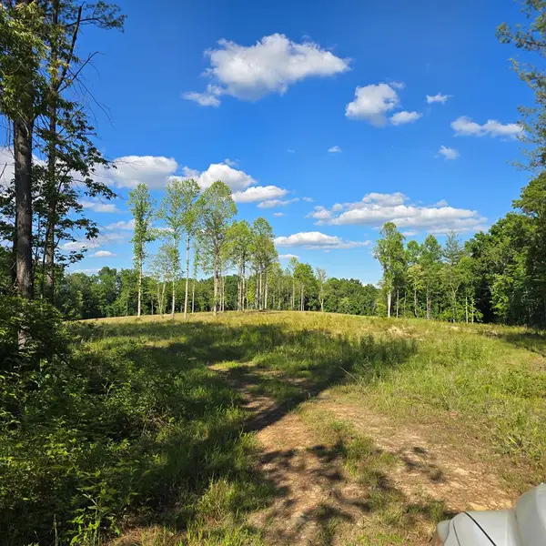 50+/- AC Red Hill Road, Sunbright, TN 37872