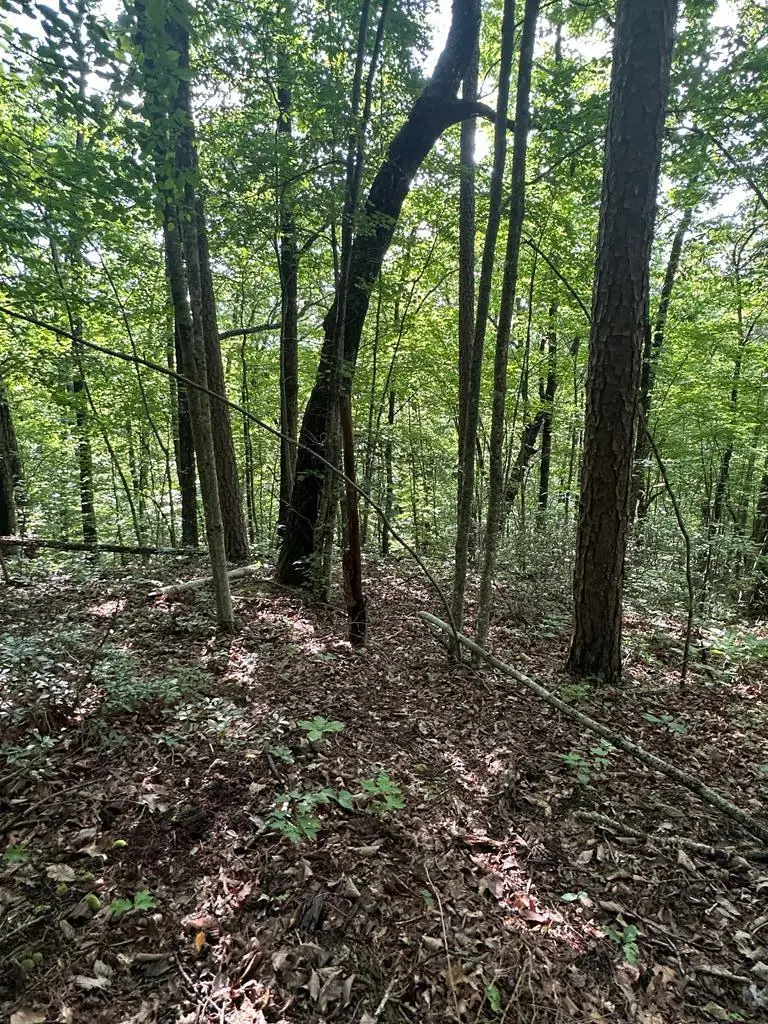 LOT 371 East Obey Lane, Wilder, TN 38589 - #1