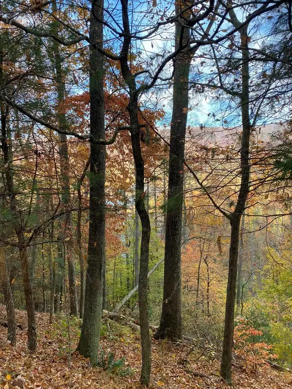 175 Canaan Rd, BUTLER, TN 37640