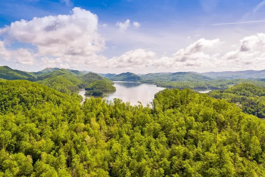 175 Canaan Rd, Butler, TN 37640 - #3