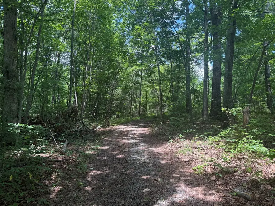13.1 Ac Wilder Hwy, Wilder, TN 38589 - #2