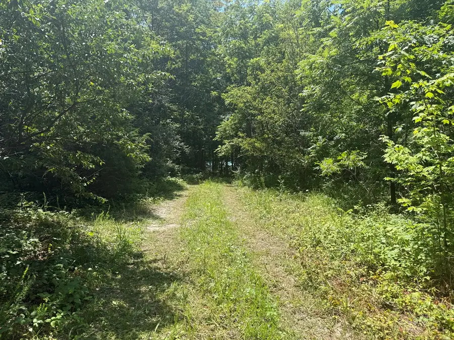 13.1 Ac Wilder Hwy, Wilder, TN 38589 - #3