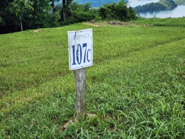 Lot 107C Sunfish Lane, Hilham, TN 38568 - #2