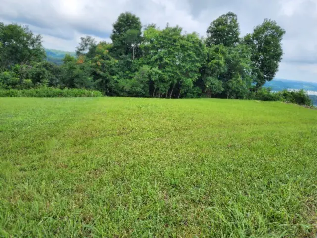 Lot 107C Sunfish Lane, Hilham, TN 38568 - #3