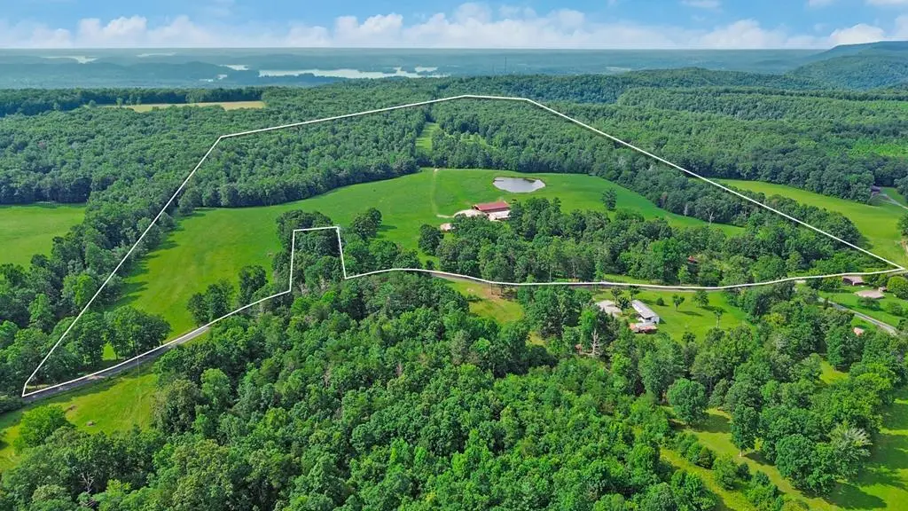 1041 Walt Reed Road, Grandview, TN 37337 - #1