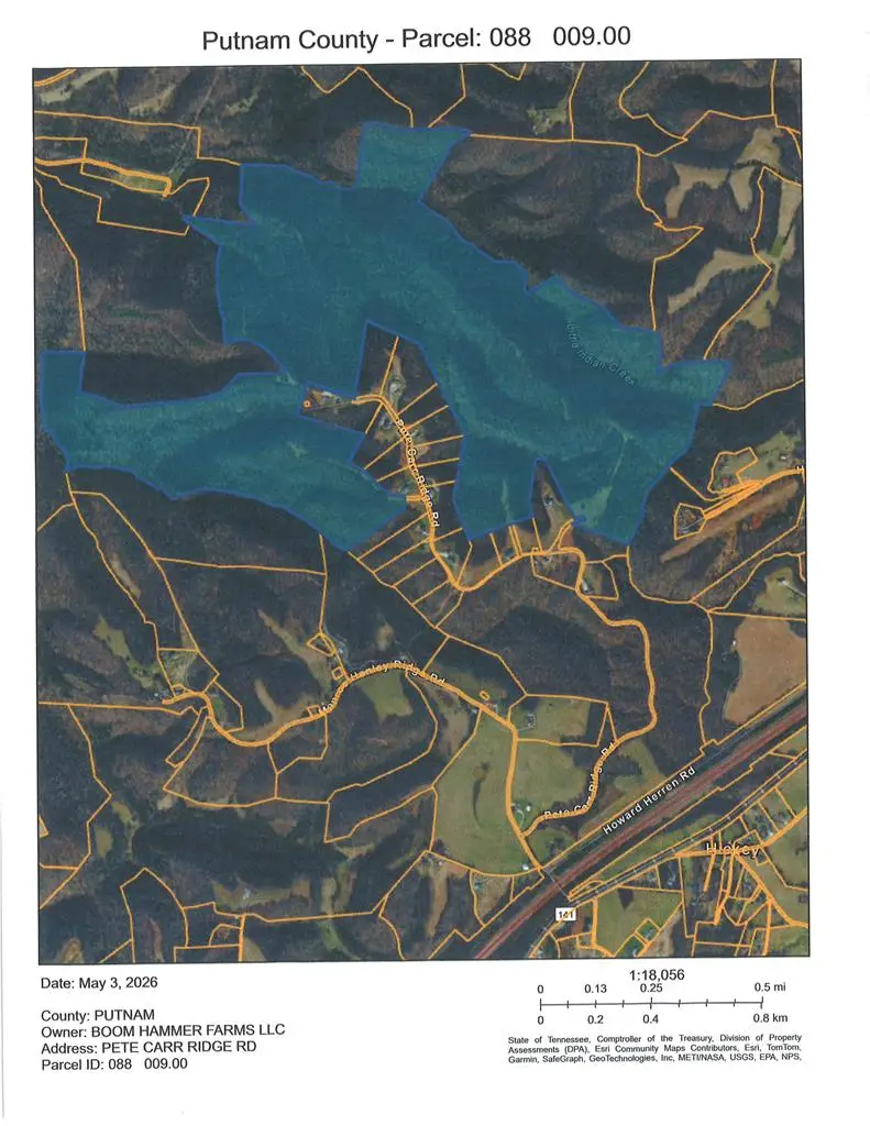 Lot 0 Lot 0 Pete Carr Ridge Rd, Silver Point, TN 38582 - #1