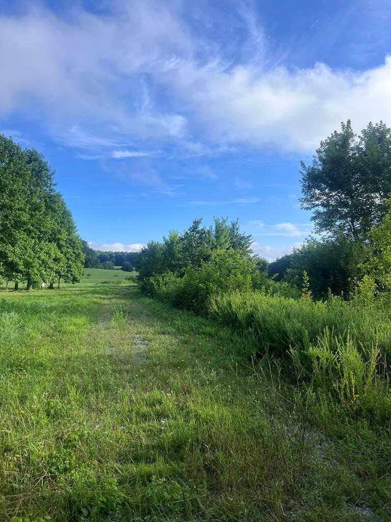 0 Taylors Chapel Rd, Crossville, TN 38572 - #2