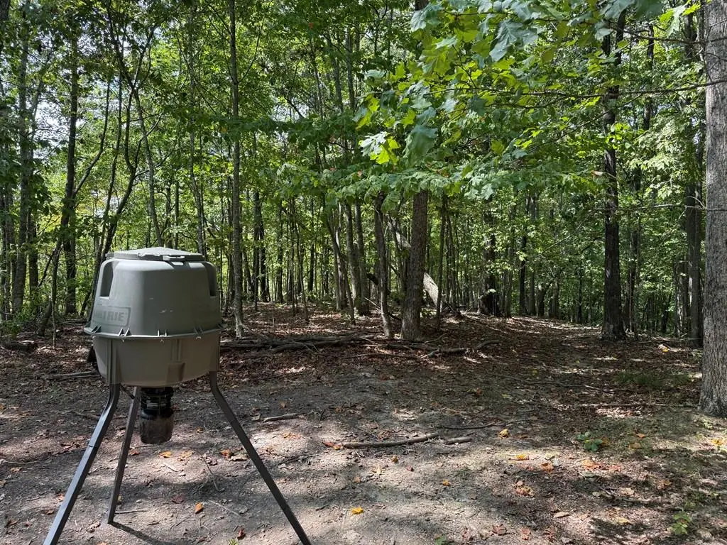18.19 Ac Spence Ln, Hilham, TN 38568 - #1