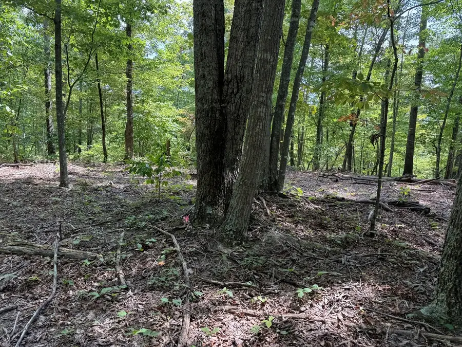 18.19 Ac Spence Ln, Hilham, TN 38568 - #3