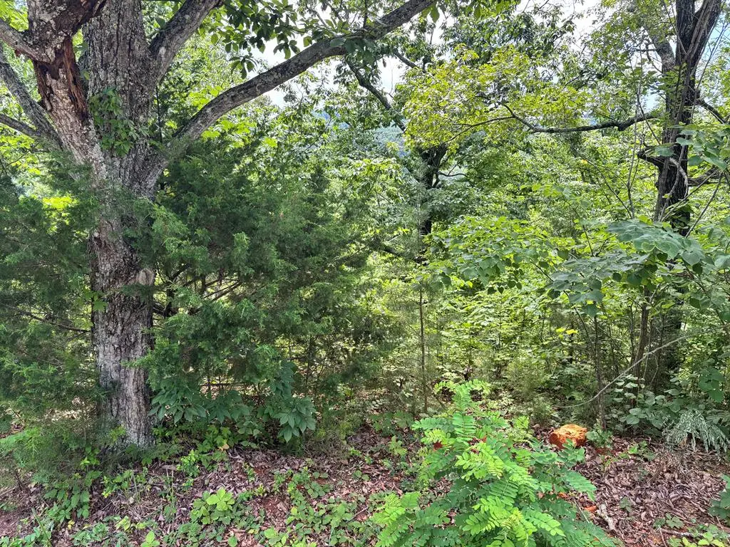 1.31 AC Wood River Ln, Allons, TN 38541 - #1