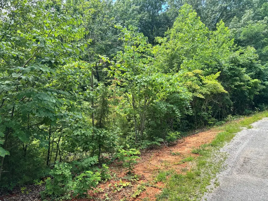 1.31 AC Wood River Ln, Allons, TN 38541 - #2