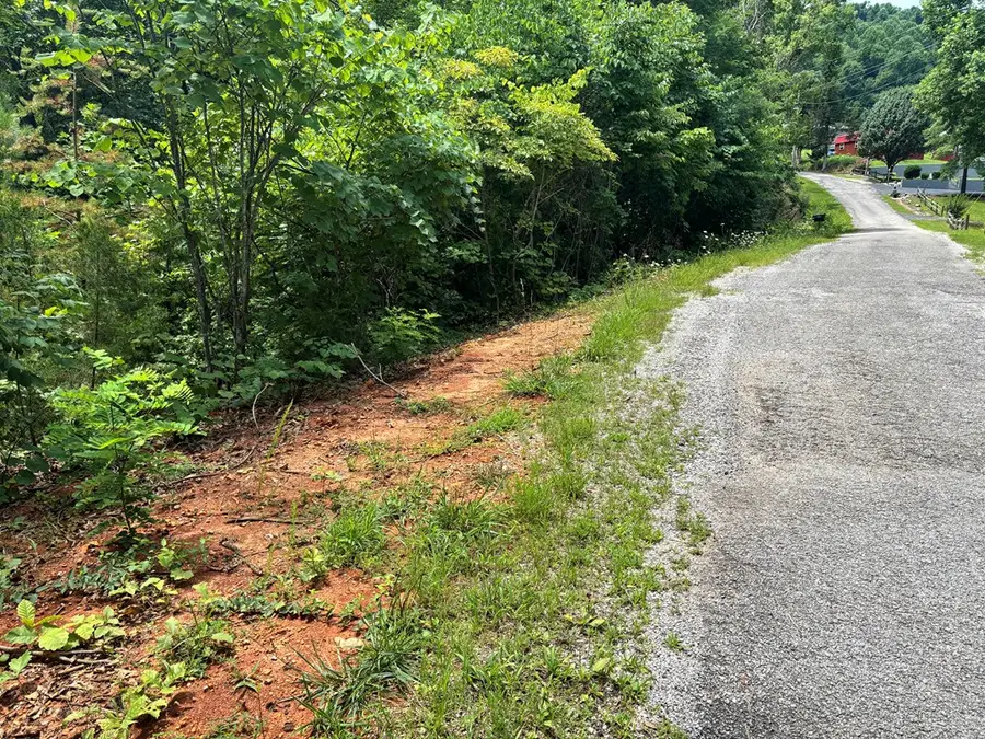 1.31 AC Wood River Ln, Allons, TN 38541 - #3