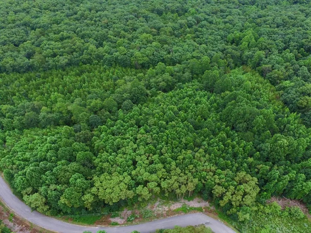 292 Overlook Dr, Spencer, TN 38585 - #1