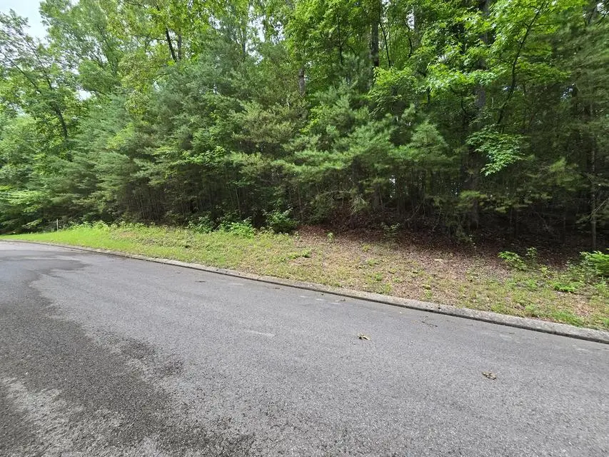 Lot 134 Lower Brow Road, Sequatchie, TN 37327 - #1