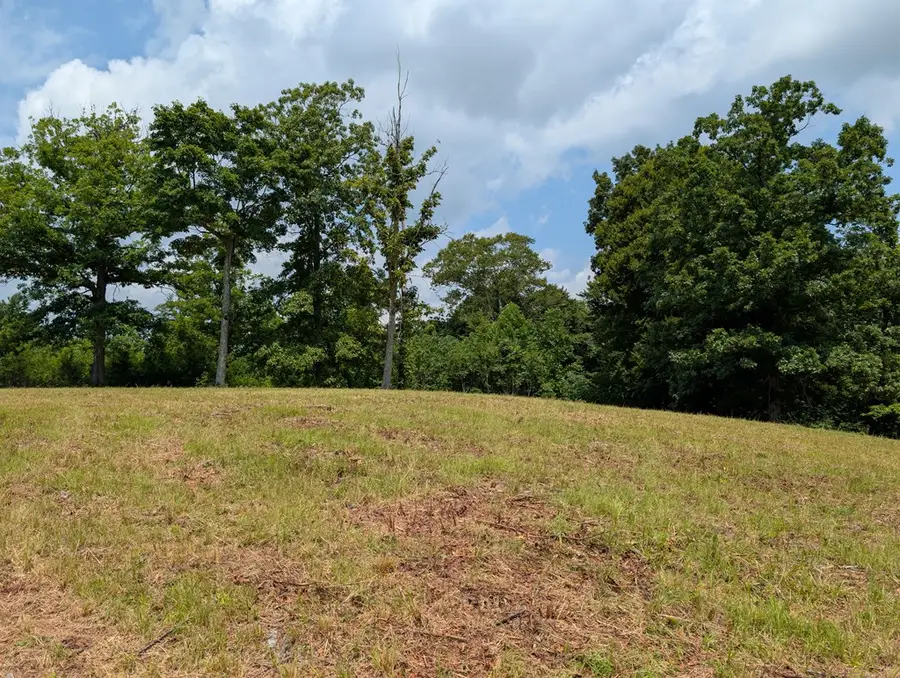 4.25ac Davidson Rd, Burkesville, KY 42717 - #3
