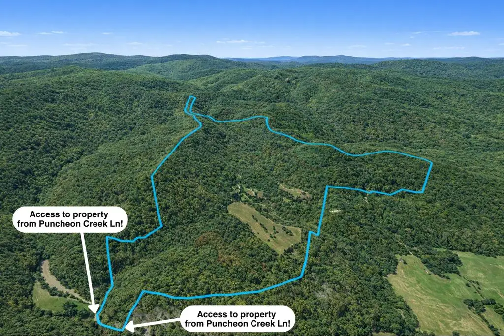 700Acres Puncheon Creek Lane, Allred, TN 38542 - #1