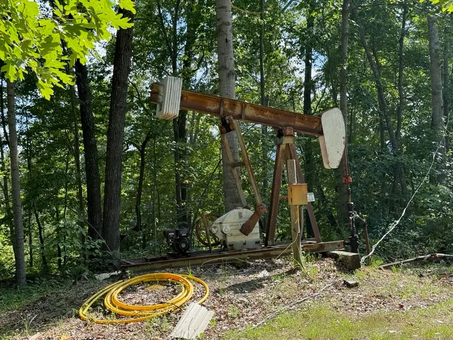 700Acres Puncheon Creek Lane, Allred, TN 38542 - #3