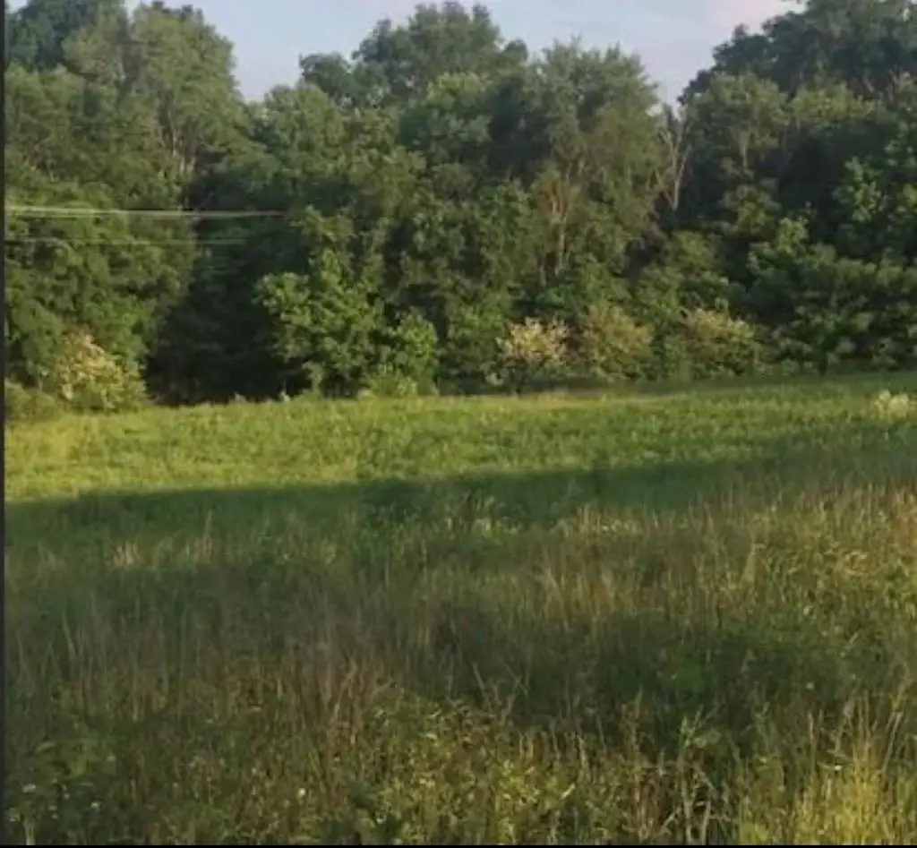 788 Old Walton Road, Cookeville, TN 38501 - #1