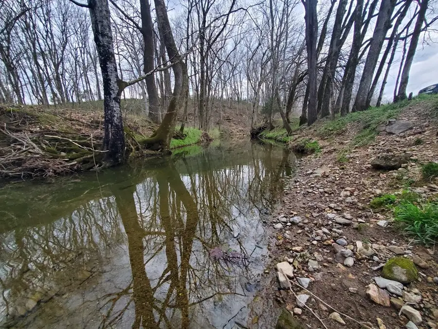 0 Plunkett Creek Rd Lot 4, Gordonsville, TN 38563 - #2