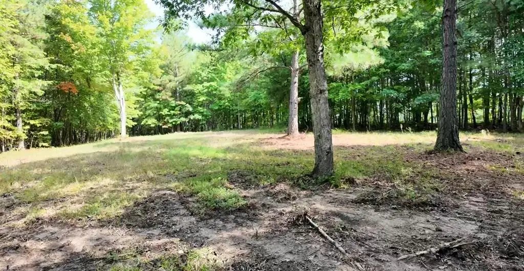 Lot 50 Topside Drive, Spencer, TN 38585 - #1