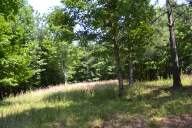 Lot 50 Topside Drive, Spencer, TN 38585 - #2
