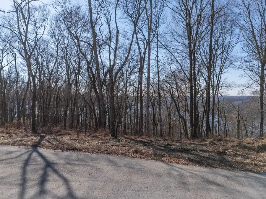 1 AC Back Ranch Dr, Silver Point, TN 38582 - #2