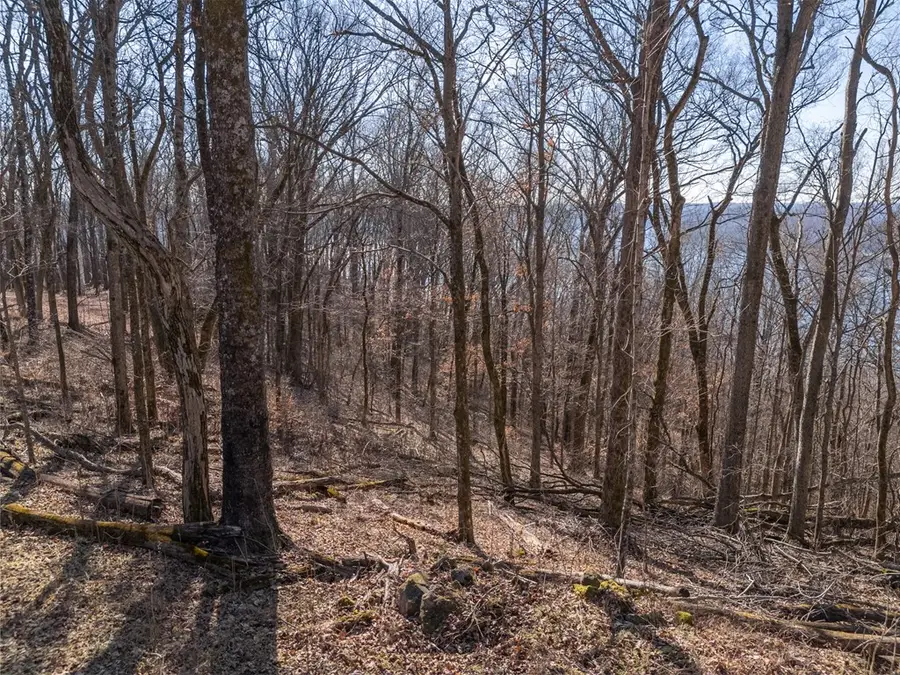 1 AC Back Ranch Dr, Silver Point, TN 38582 - #3