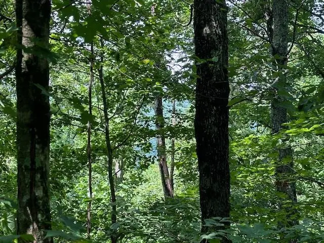 Lot 89 Bobcat Lane, Wilder, TN 38589 - #1